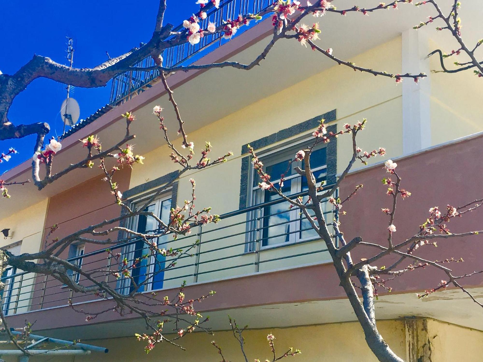 Relax Home Vacation Nea Peramos  Exterior photo
